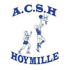 HOYMILLE ACS